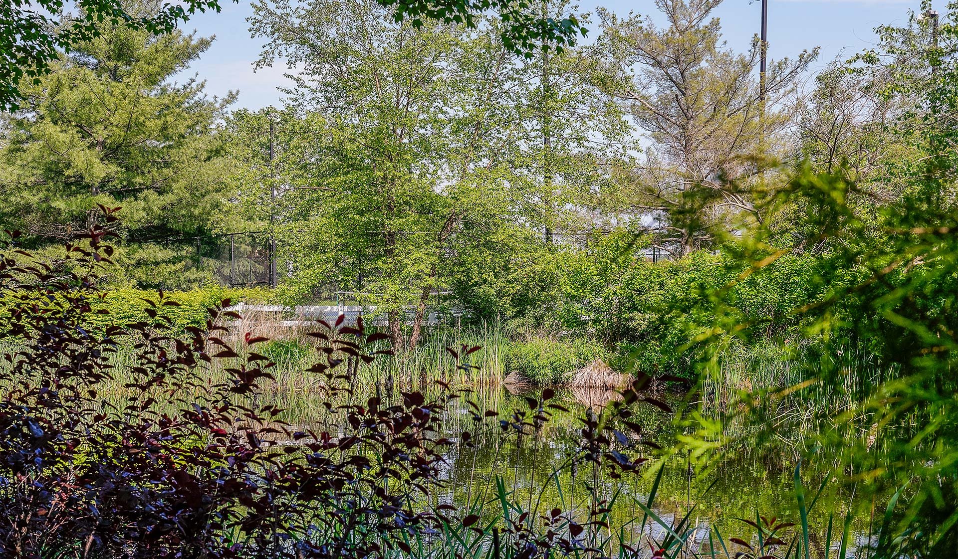 Shenandoah Crossing Apartment Homes Lush Landscaping Shenandoah Crossing Apartment Homes Lush Landscaping